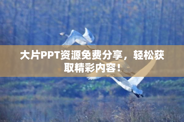 大片PPT资源免费分享，轻松获取精彩内容！