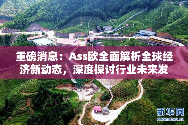 重磅消息：Ass欧全面解析全球经济新动态，深度探讨行业未来发展方向！