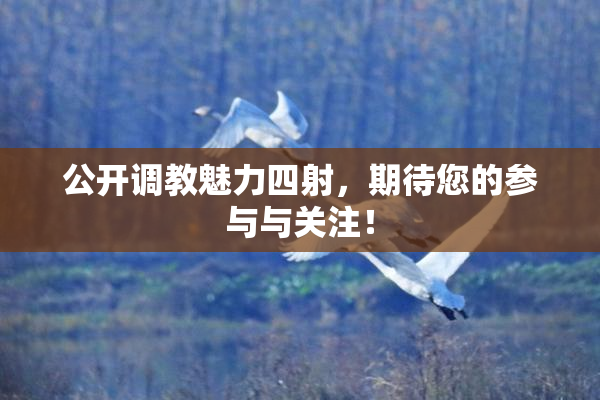 公开调教魅力四射，期待您的参与与关注！