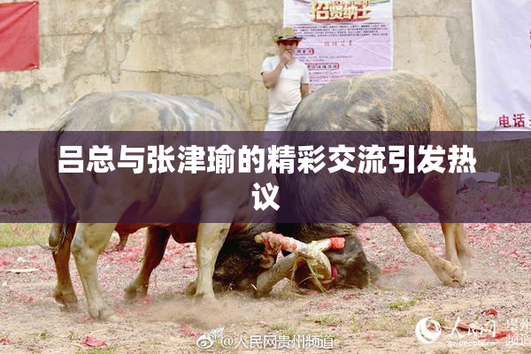 吕总与张津瑜的精彩交流引发热议