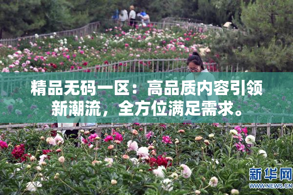 精品无码一区：高品质内容引领新潮流，全方位满足需求。