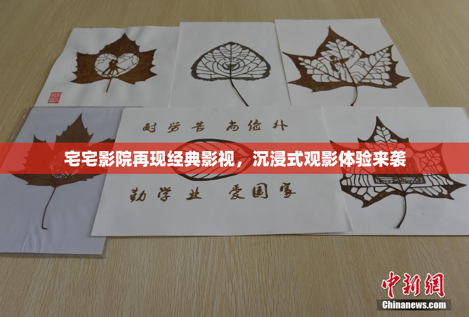 宅宅影院再现经典影视，沉浸式观影体验来袭