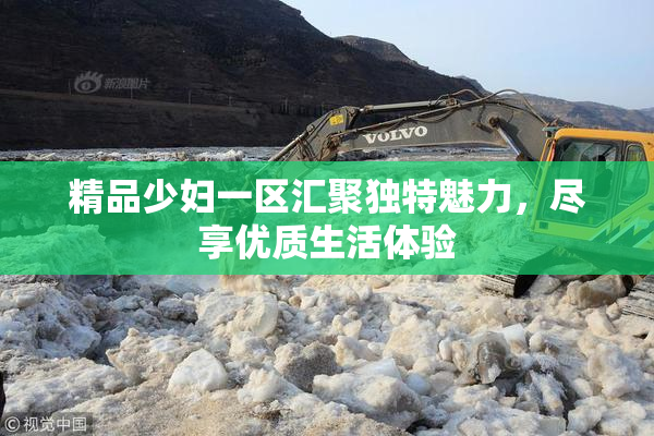 精品少妇一区汇聚独特魅力，尽享优质生活体验