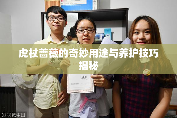 虎杖蔷薇的奇妙用途与养护技巧揭秘
