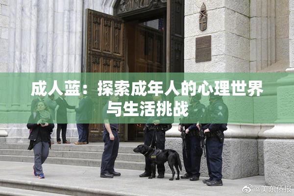 成人蓝：探索成年人的心理世界与生活挑战