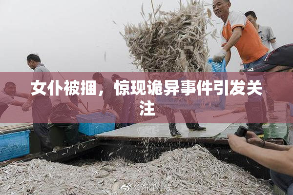 女仆被捆，惊现诡异事件引发关注