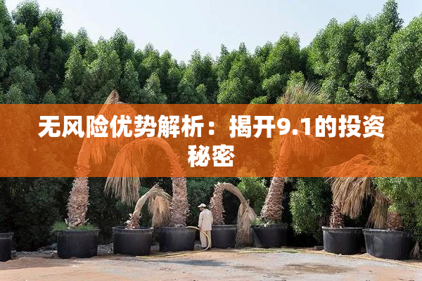 无风险优势解析：揭开9.1的投资秘密