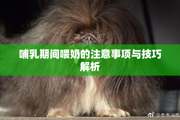哺乳期间喂奶的注意事项与技巧解析