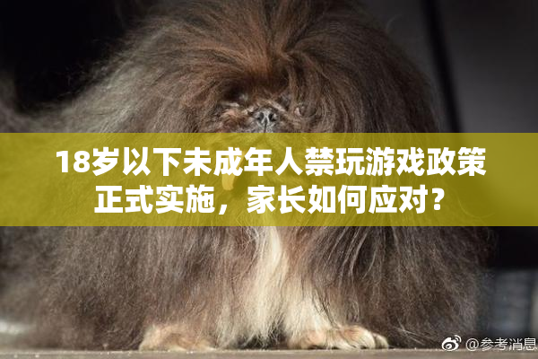18岁以下未成年人禁玩游戏政策正式实施，家长如何应对？