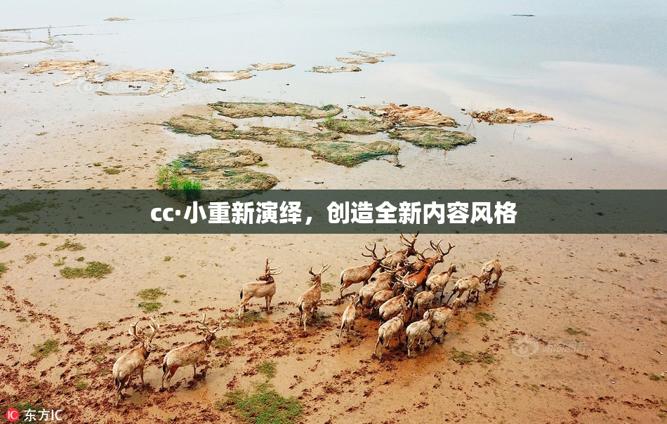 cc·小重新演绎，创造全新内容风格