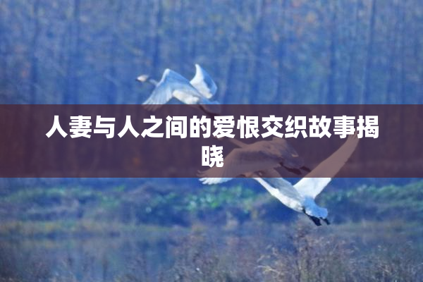 人妻与人之间的爱恨交织故事揭晓