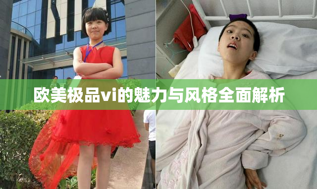 欧美极品vi的魅力与风格全面解析
