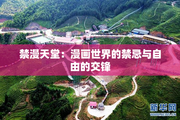 禁漫天堂：漫画世界的禁忌与自由的交锋