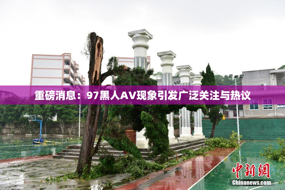 重磅消息：97黑人AV现象引发广泛关注与热议