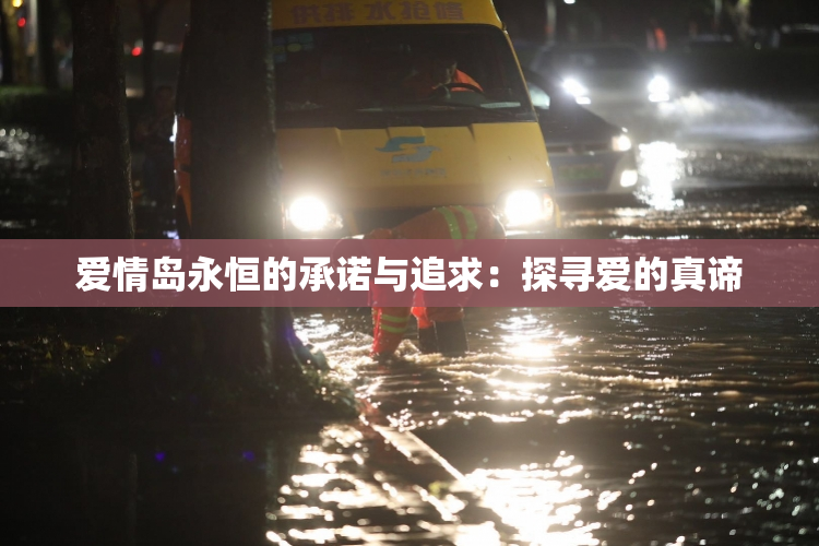 爱情岛永恒的承诺与追求：探寻爱的真谛