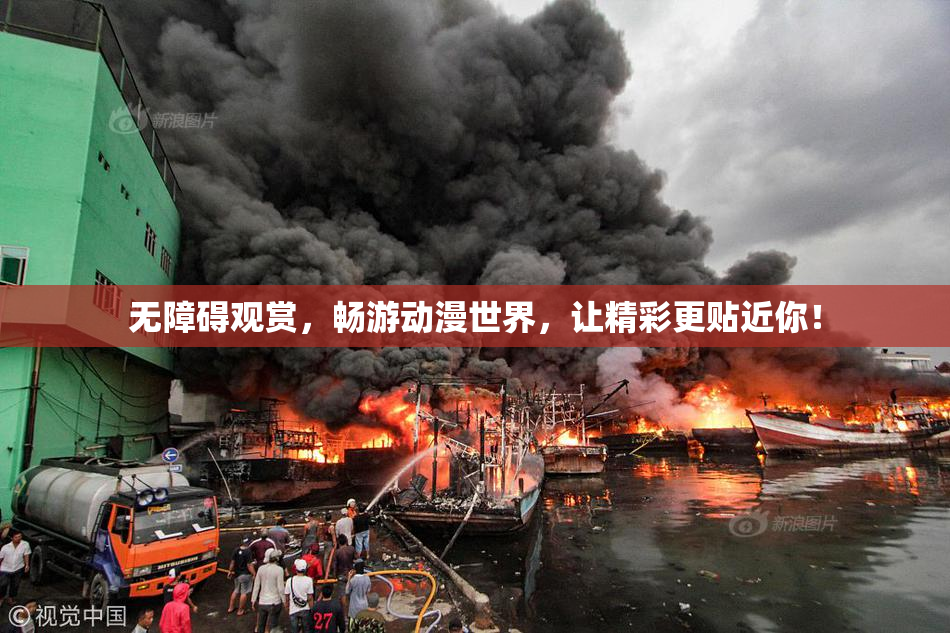 无障碍观赏，畅游动漫世界，让精彩更贴近你！