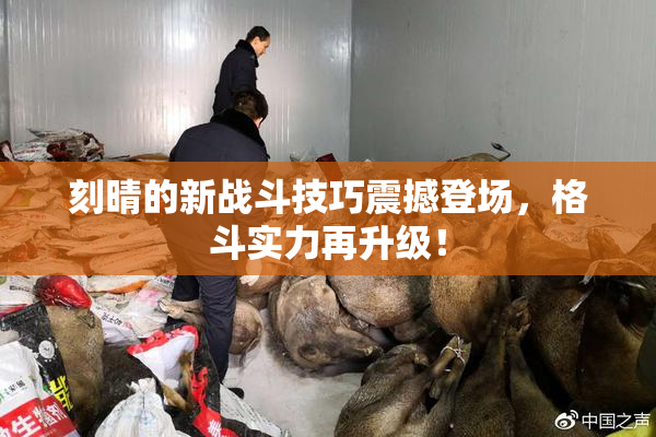 刻晴的新战斗技巧震撼登场，格斗实力再升级！