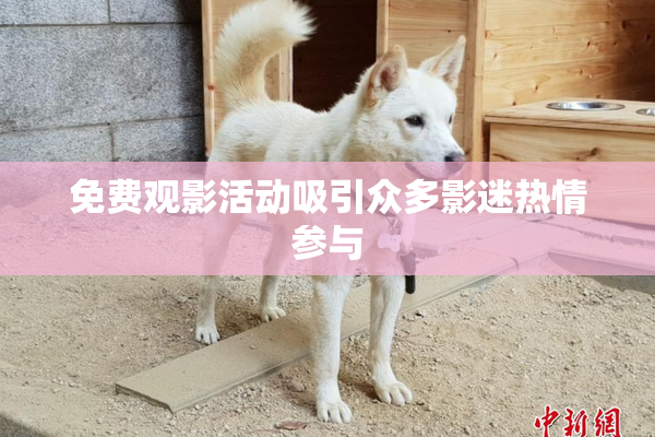 免费观影活动吸引众多影迷热情参与