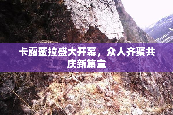 卡露蜜拉盛大开幕，众人齐聚共庆新篇章