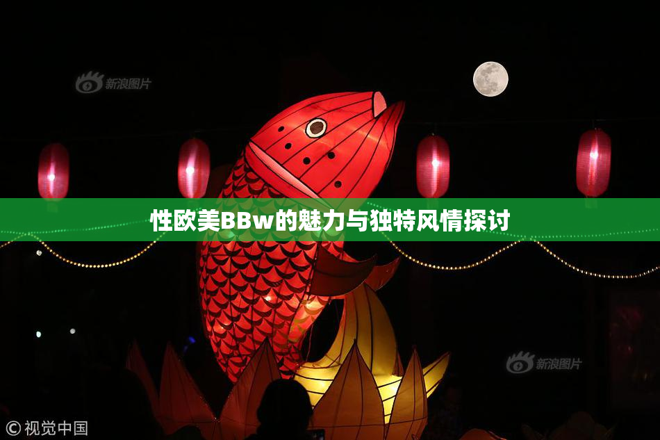 性欧美BBw的魅力与独特风情探讨