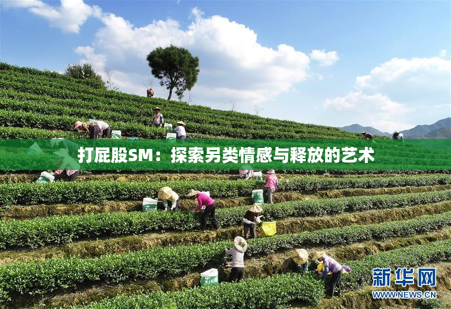打屁股SM：探索另类情感与释放的艺术