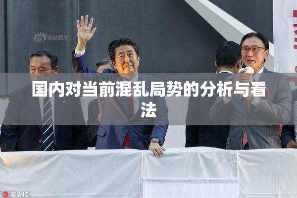国内对当前混乱局势的分析与看法