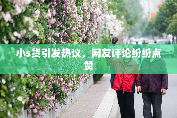 小s货引发热议，网友评论纷纷点赞