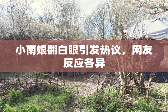 小南娘翻白眼引发热议，网友反应各异