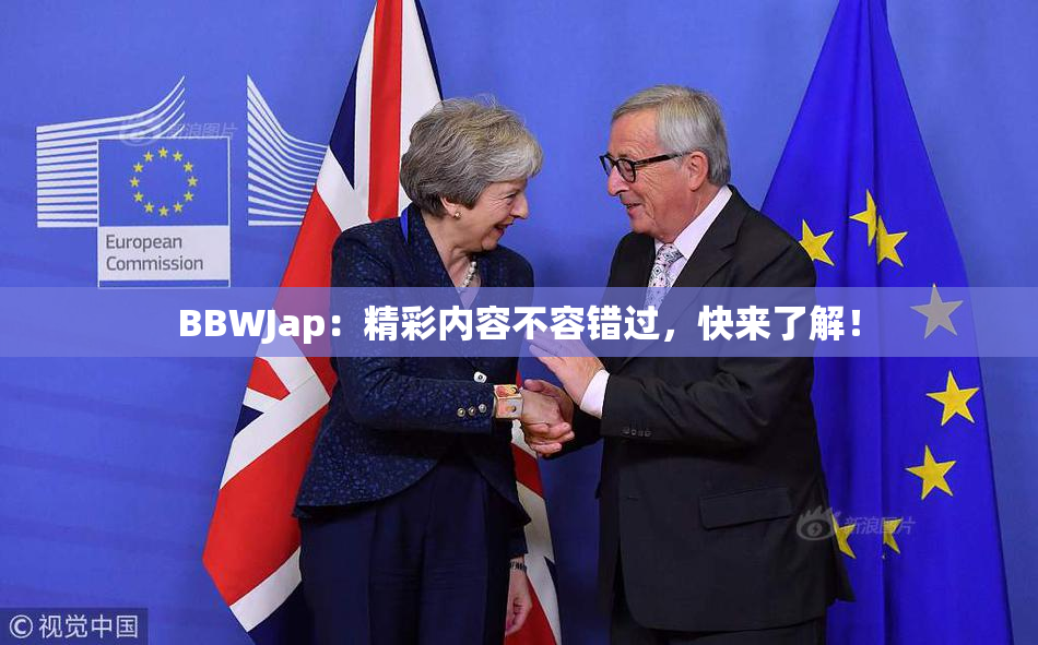 BBWJap：精彩内容不容错过，快来了解！