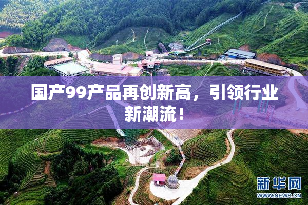 国产99产品再创新高，引领行业新潮流！