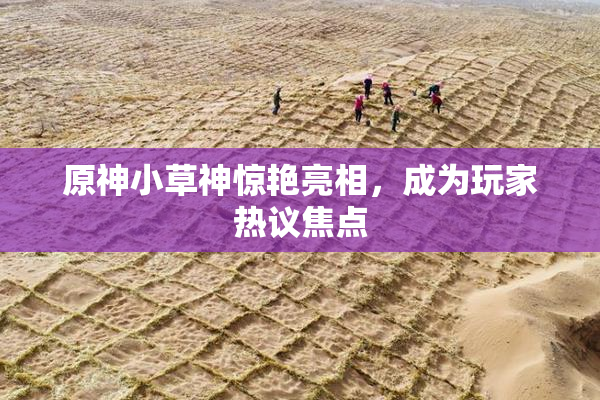 原神小草神惊艳亮相，成为玩家热议焦点
