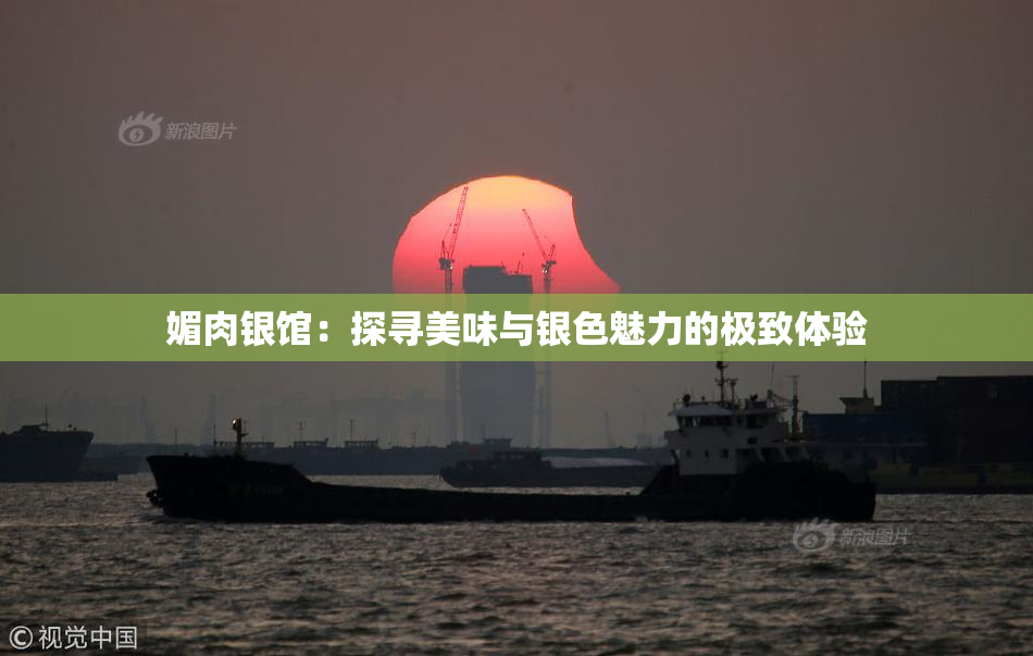 媚肉银馆：探寻美味与银色魅力的极致体验