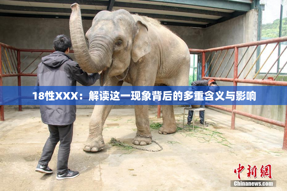 18性XXX：解读这一现象背后的多重含义与影响