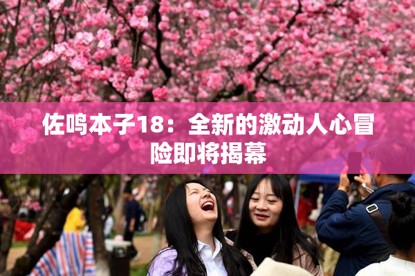 佐鸣本子18：全新的激动人心冒险即将揭幕
