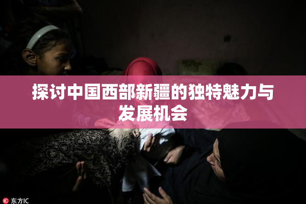探讨中国西部新疆的独特魅力与发展机会