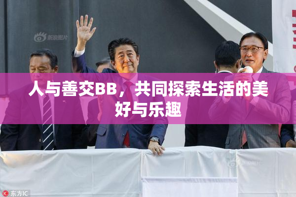 人与善交BB，共同探索生活的美好与乐趣
