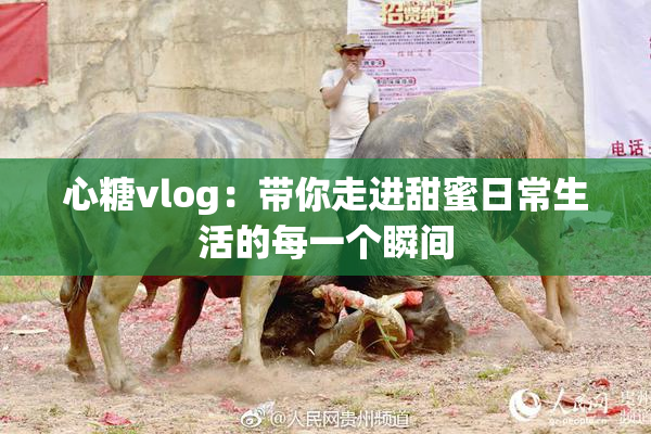 心糖vlog：带你走进甜蜜日常生活的每一个瞬间