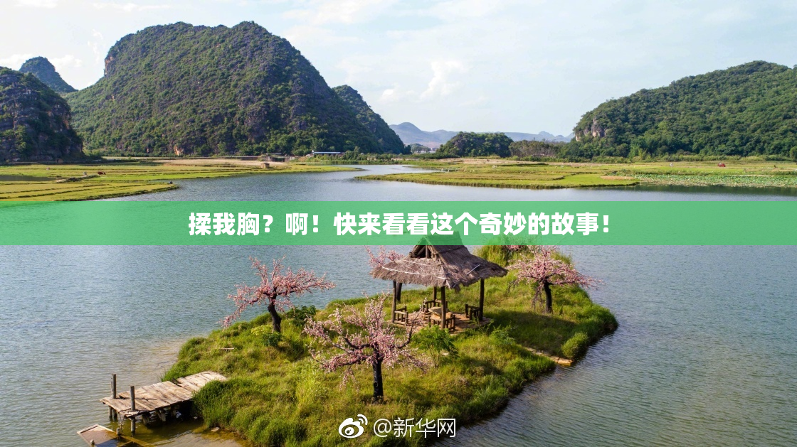 揉我胸？啊！快来看看这个奇妙的故事！