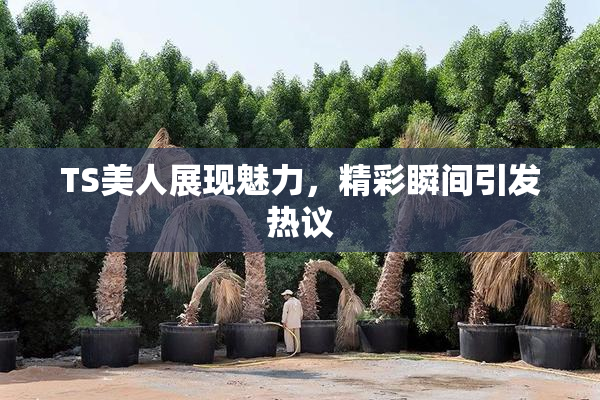 TS美人展现魅力，精彩瞬间引发热议