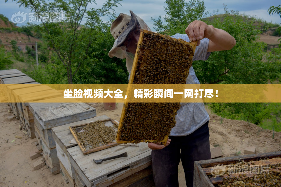 坐脸视频大全，精彩瞬间一网打尽！