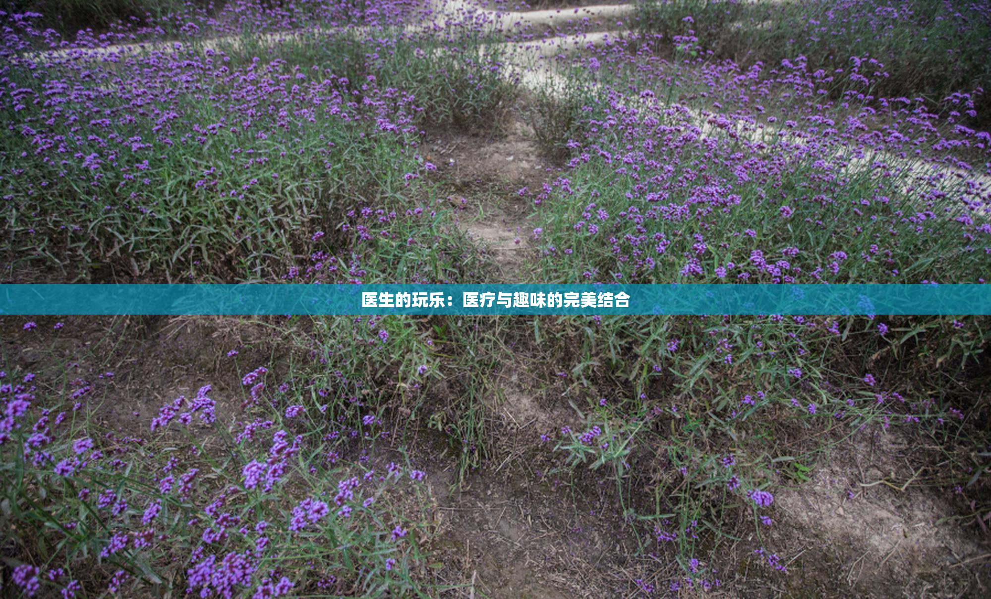 医生的玩乐：医疗与趣味的完美结合