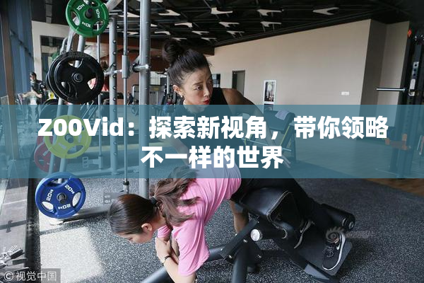 Z00Vid：探索新视角，带你领略不一样的世界