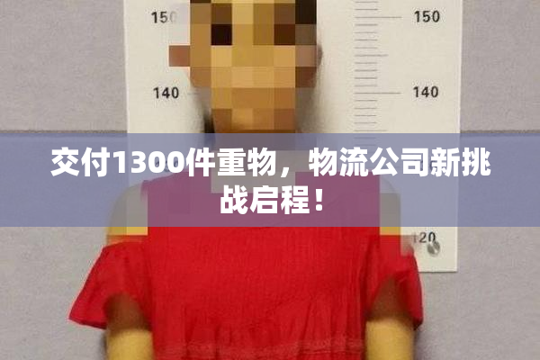 交付1300件重物，物流公司新挑战启程！