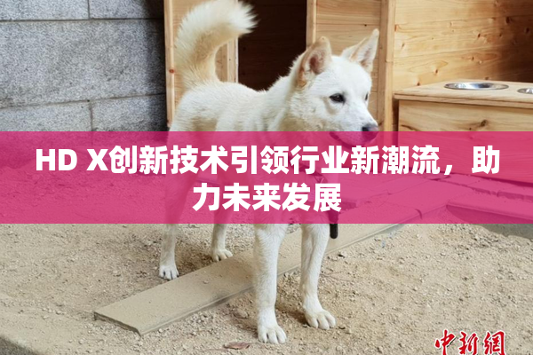 HD X创新技术引领行业新潮流，助力未来发展
