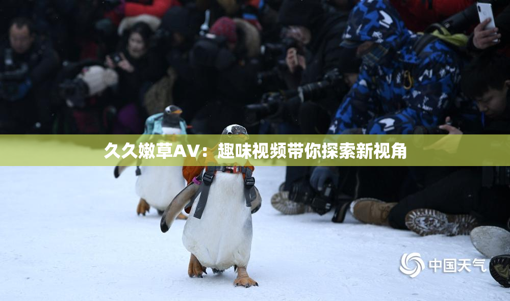 久久嫩草AV：趣味视频带你探索新视角