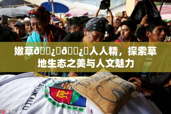 嫩草🌿‌🌿‌人人精，探索草地生态之美与人文魅力