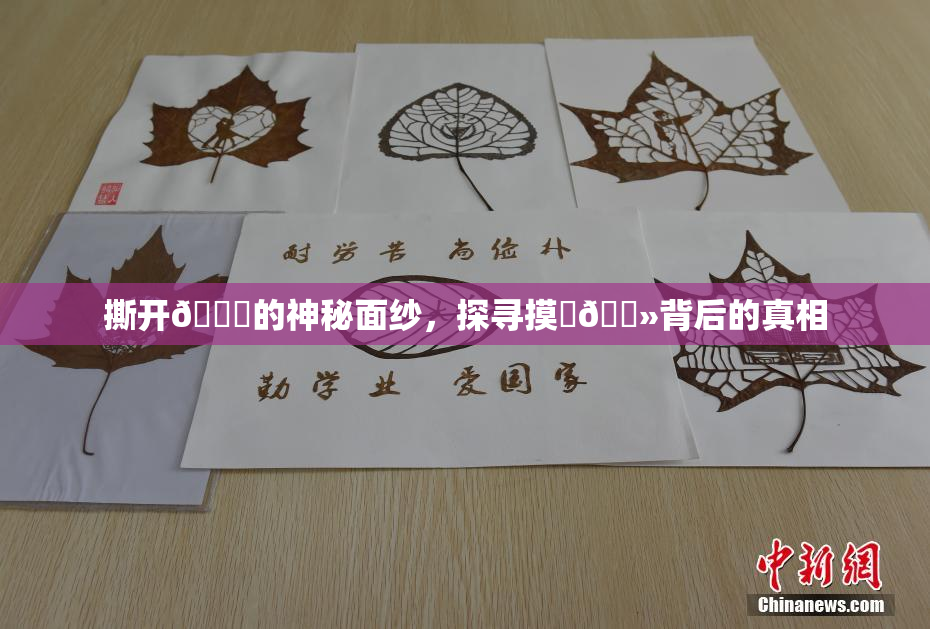 撕开👙的神秘面纱，探寻摸‌🐻背后的真相