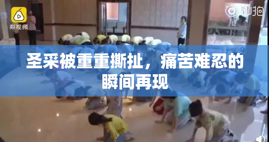 圣采被重重撕扯，痛苦难忍的瞬间再现