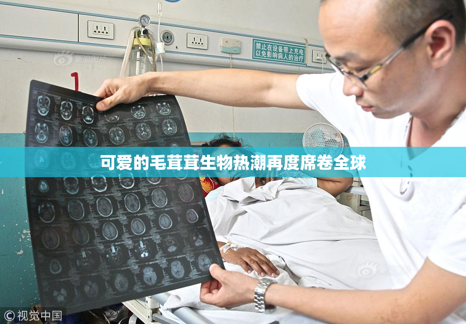 可爱的毛茸茸生物热潮再度席卷全球
