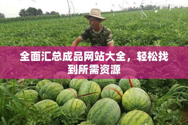 全面汇总成品网站大全，轻松找到所需资源